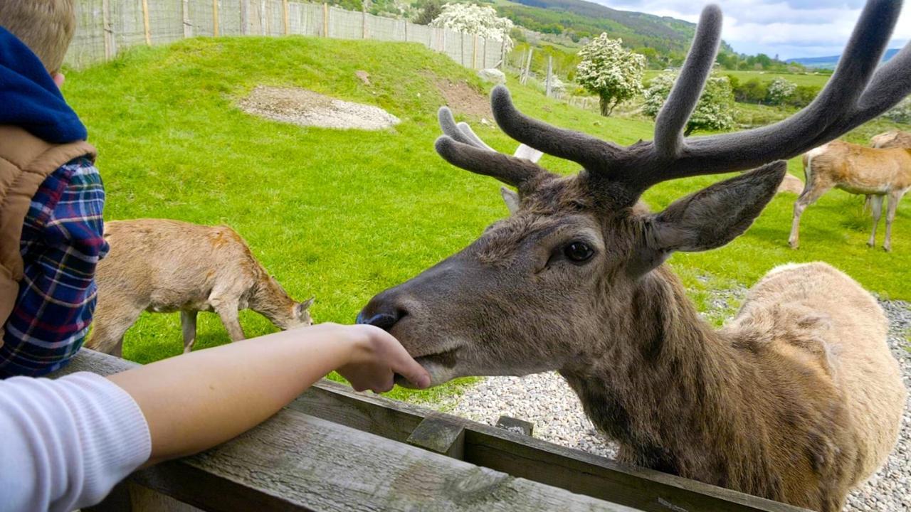 Moness Resort Aberfeldy Bagian luar foto